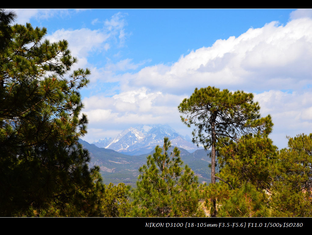 dsc_0234.jpg