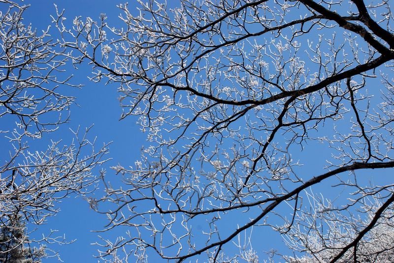 dsc_1570.jpg