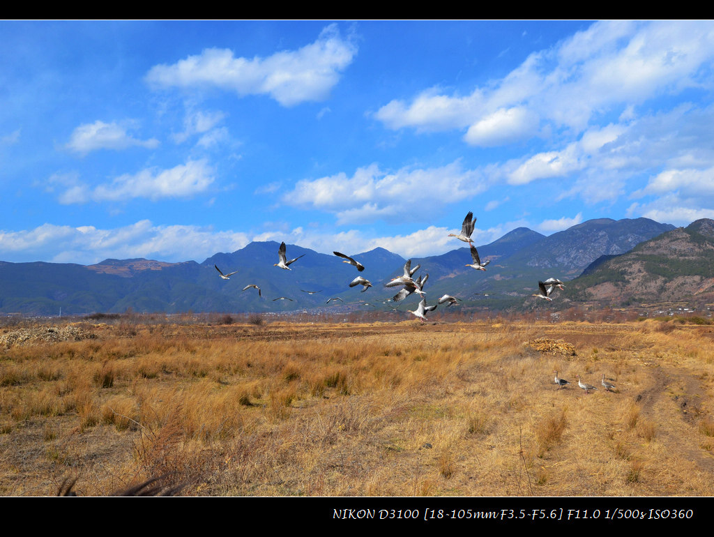 dsc_0263.jpg