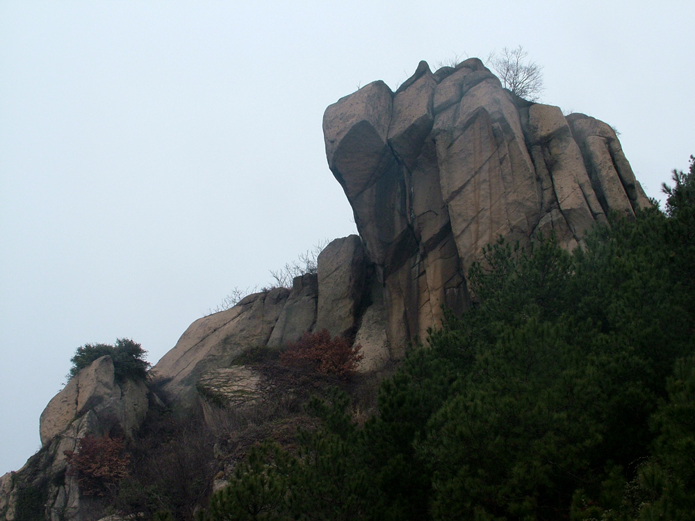 dscf2353.jpg