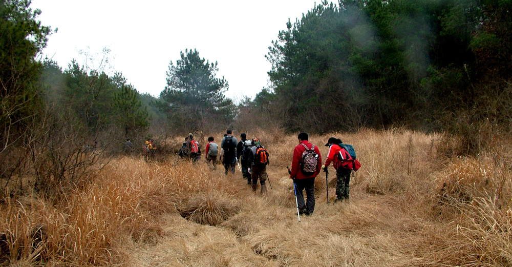 dscf2425.jpg