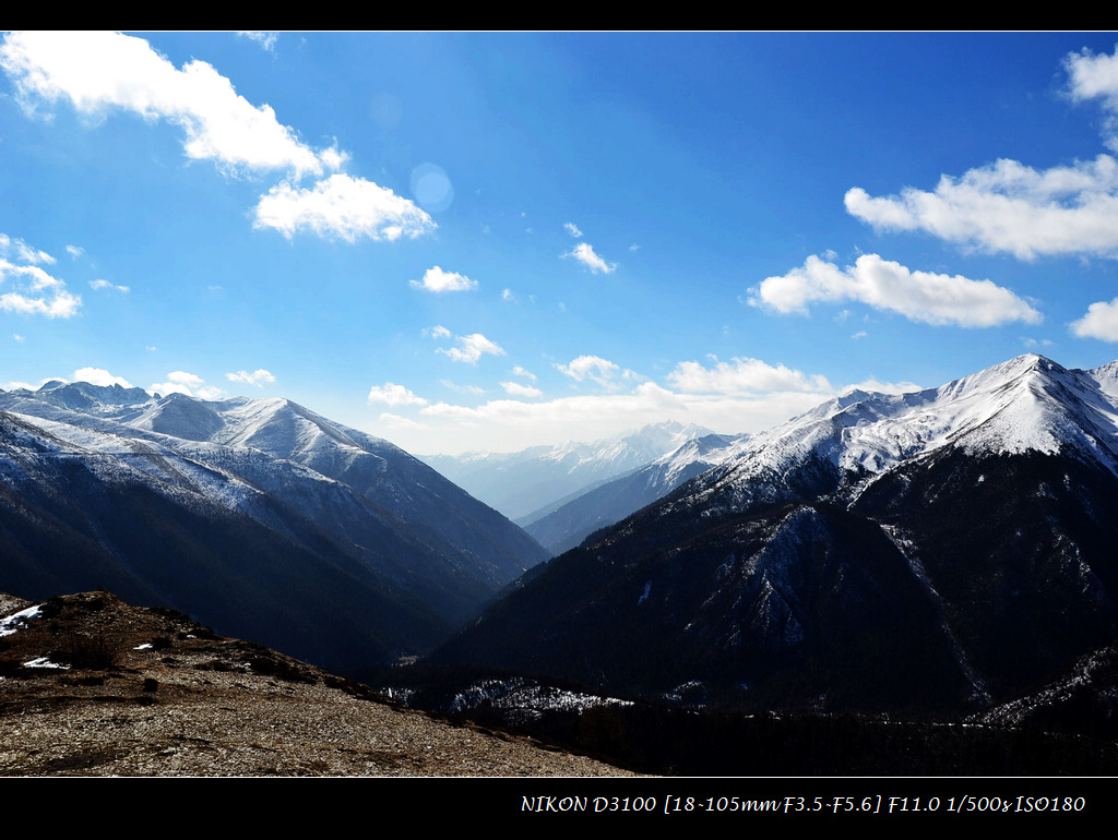 dsc_1029.jpg