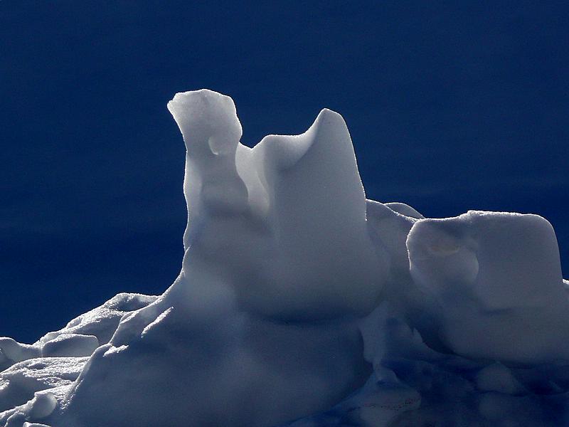 p1200589.jpg