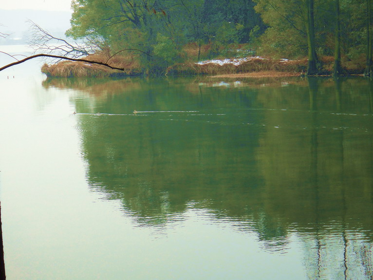 dsc02780.jpg
