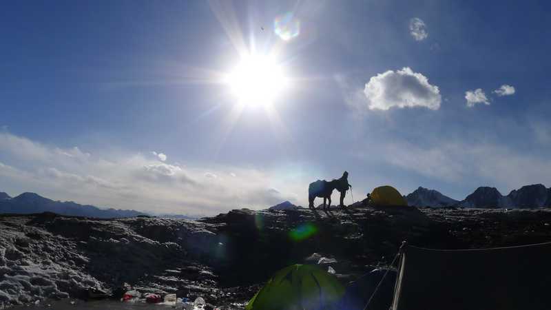 p1020535+1.jpg