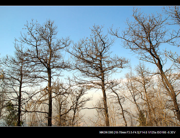 dsc_0004.jpg