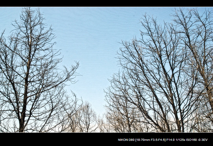 dsc_0008.jpg