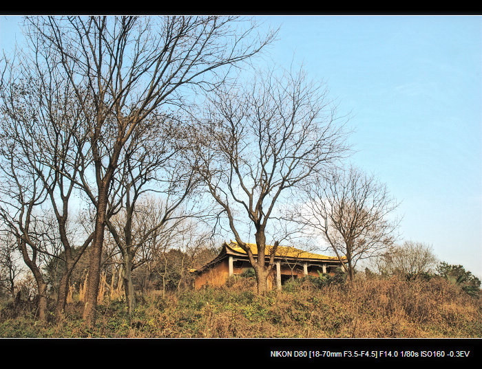 dsc_0011a.jpg