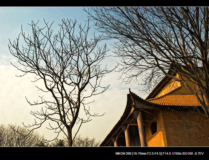 dsc_0020a.jpg