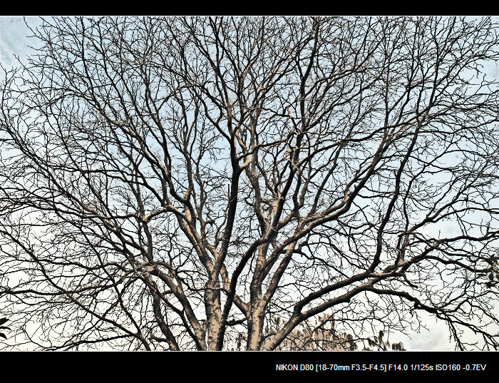 dsc_0022a.jpg