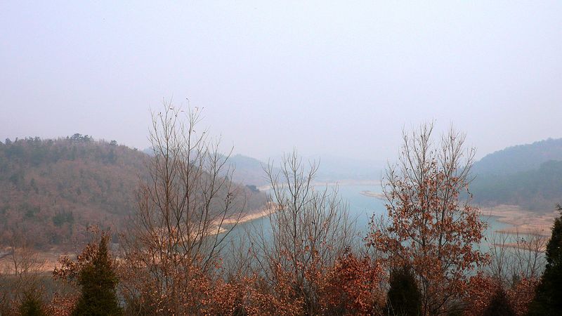 p1100673.jpg