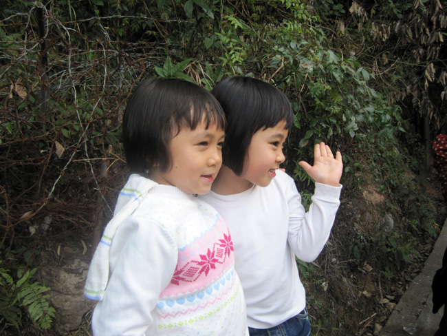 img_7554.jpg
