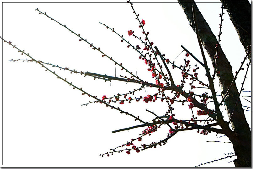 dsc02411.jpg