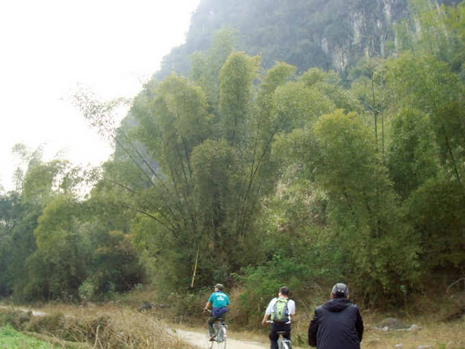 dsc08094.jpg