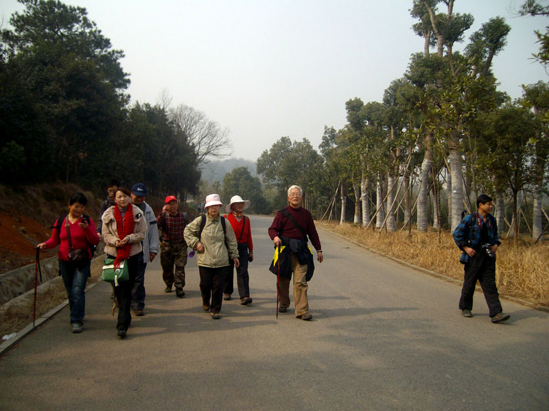 alim3043.jpg