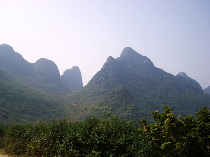 dsc08141.jpg