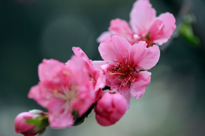dsc_5213a.jpg