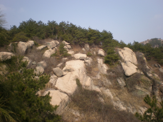 20110213_83.jpg