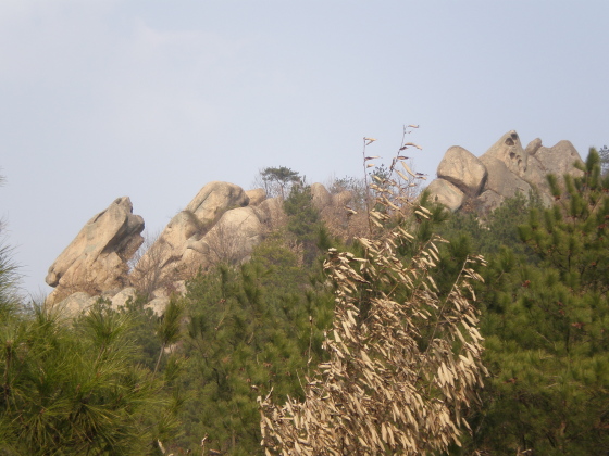 20110213_86.jpg