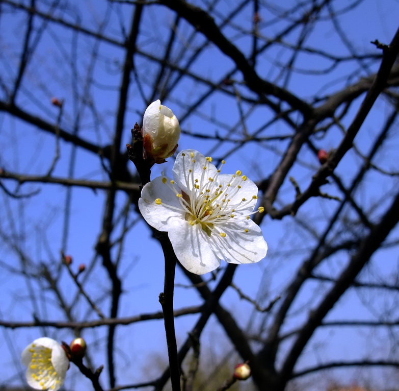 dscf9236.jpg
