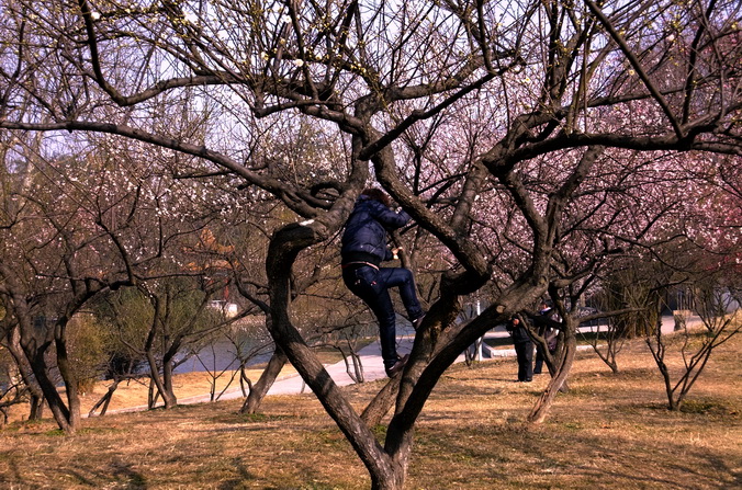 dscf9233.jpg