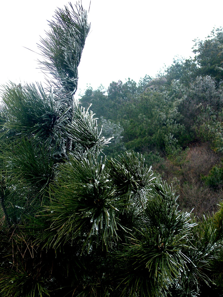 dscf2359.jpg