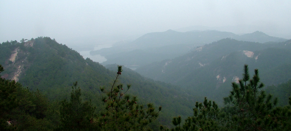 dscf2401.jpg