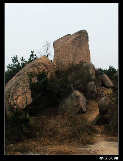 dscf2164.jpg