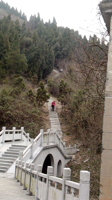 dsc08098.jpg