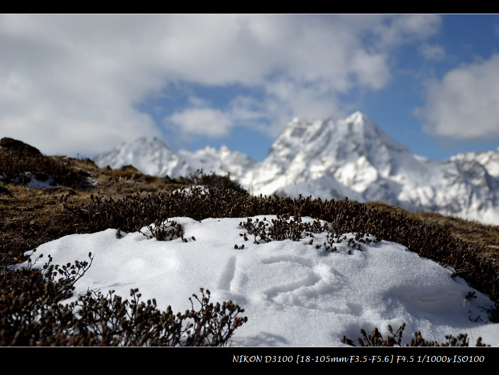 dsc_0032.jpg
