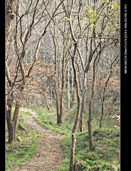 dsc_0026a.jpg