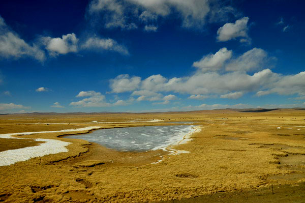 dsc_0106.jpg