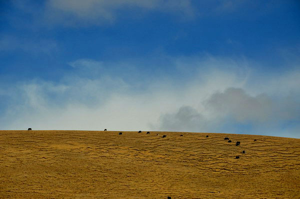 dsc_0292.jpg