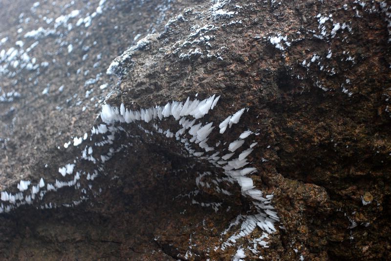dsc_1378.jpg