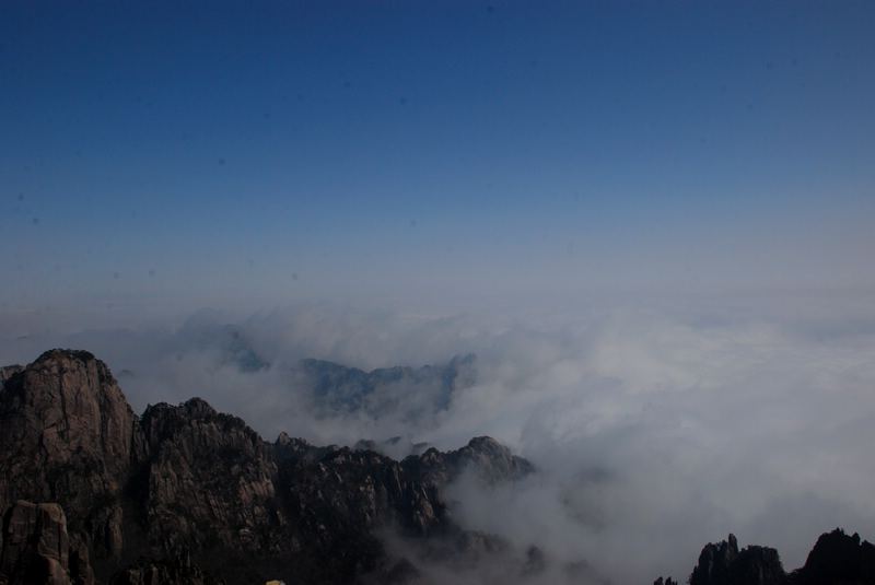dsc_1469.jpg