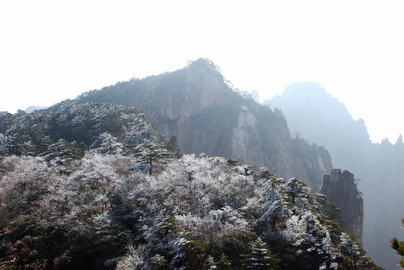 dsc_1507.jpg