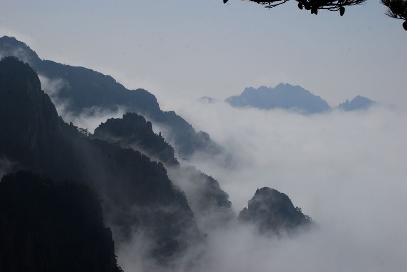 dsc_1525.jpg