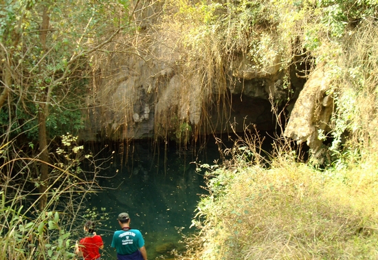 dsc08381.jpg