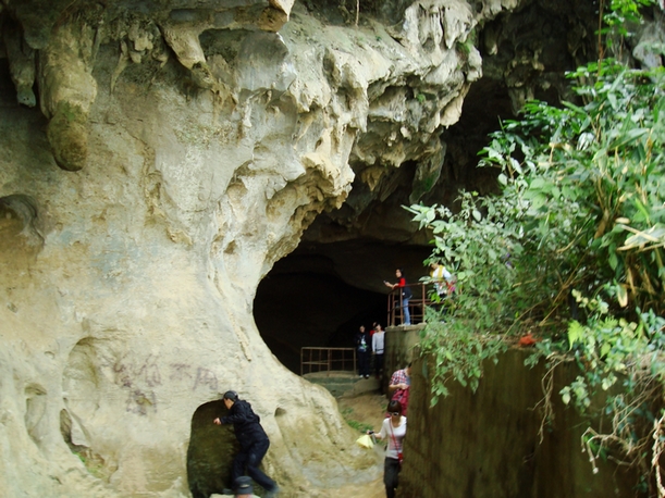 dsc08395.jpg