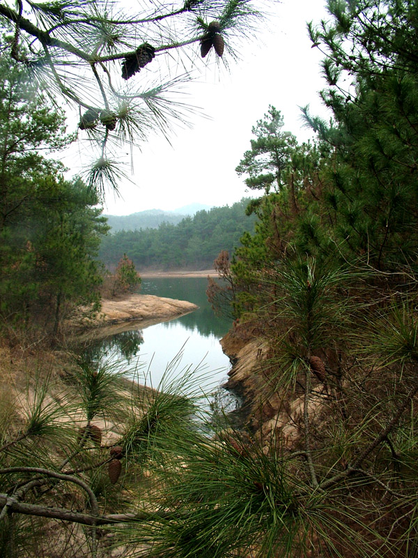 dscf2452.jpg