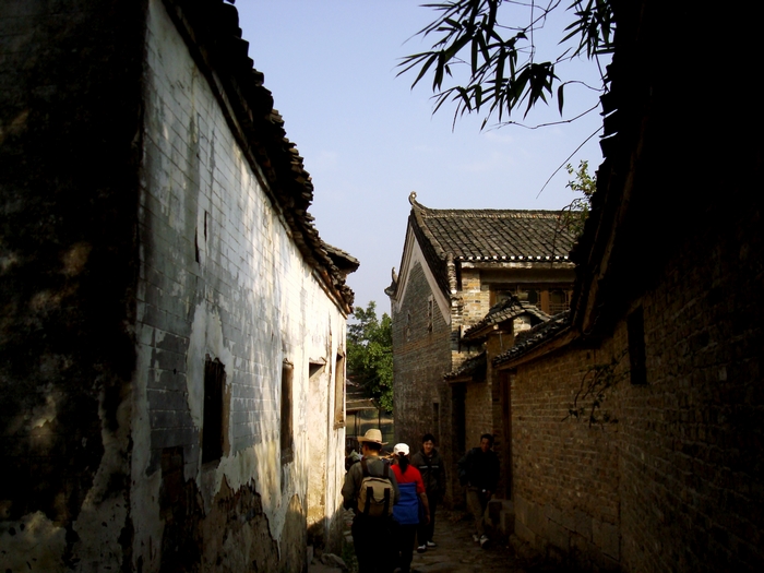 dsc08437.jpg