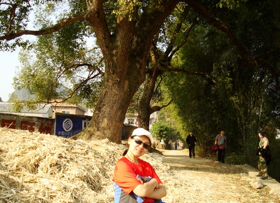 dsc08425.jpg