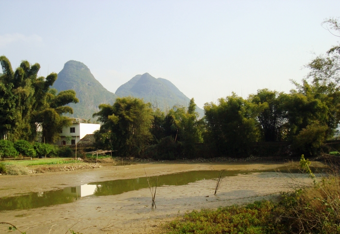 dsc08426.jpg