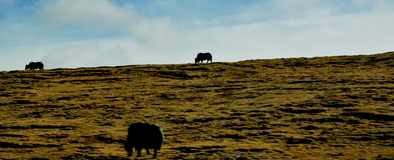 dsc_0301ţ.jpg
