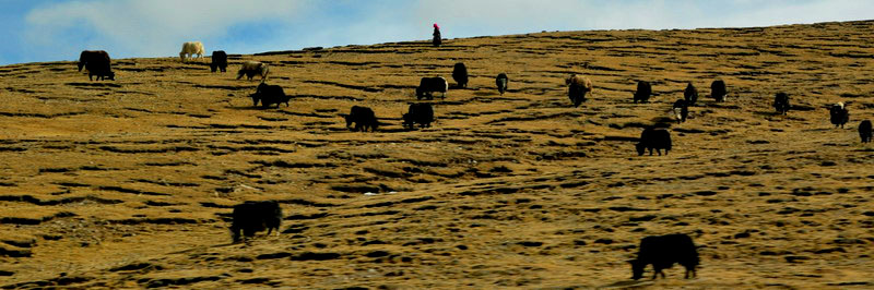 dsc_0302ţ.jpg
