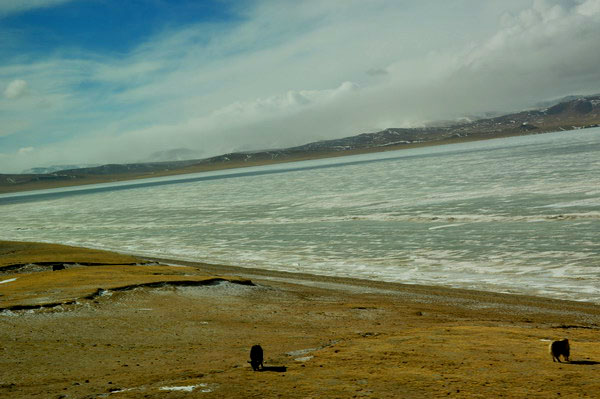 dsc_0378Ǻ.jpg