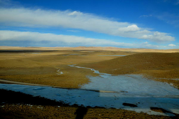 dsc_0186.jpg