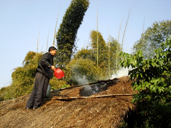 dsc08445.jpg