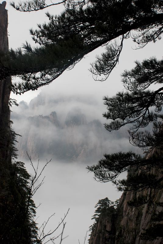 dsc_1099.jpg