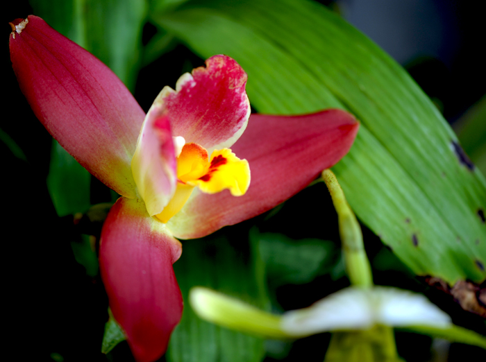 dsc_5101a.jpg